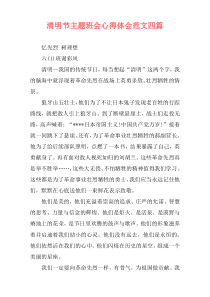 清明节主题班会心得体会范文四篇