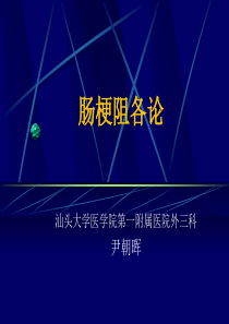 肠梗阻各论