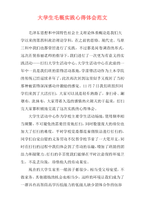 大学生毛概实践心得体会范文