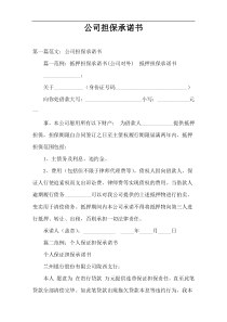 公司担保承诺书