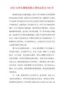 2020大学生暑假实践心得体会范文800字