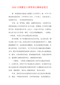 2020大学新生入学军训心得体会范文