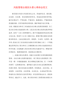 风险管理合规回头看心得体会范文