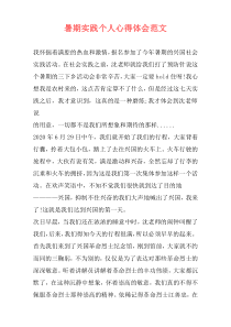 暑期实践个人心得体会范文