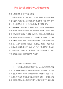 某市全年度政务公开工作要点范例