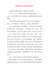 团队协作心得体会范文