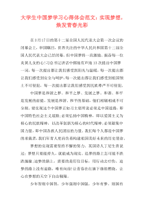 大学生中国梦学习心得体会范文：实现梦想，焕发青春光彩