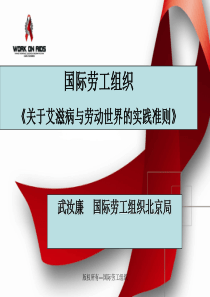 国际劳工组织-PowerPointPresentati