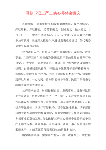 习总书记三严三实心得体会范文