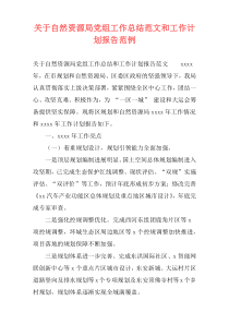 关于自然资源局党组工作总结范文和工作计划报告范例