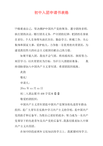初中入团申请书表格