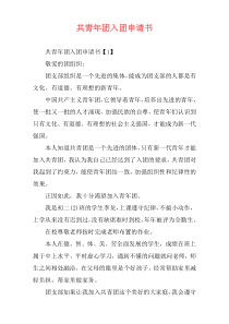 共青年团入团申请书