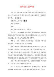 青年团入团申请