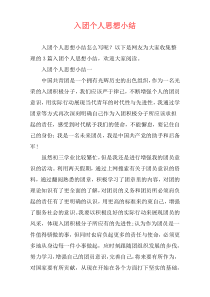 入团个人思想小结