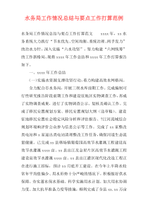 水务局工作情况总结与要点工作打算范例