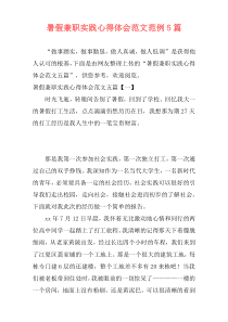 暑假兼职实践心得体会范文范例5篇