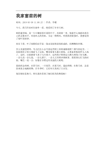 我家窗前的树