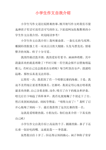 小学生作文自我介绍