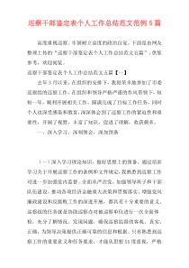 巡察干部鉴定表个人工作总结范文范例5篇