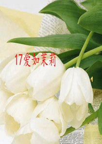 (苏教版)五年级语文课件-爱如茉莉