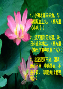 《荷塘月色》朱自清-优美课件--用