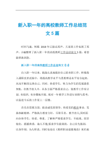新入职一年的高校教师工作总结范文5篇