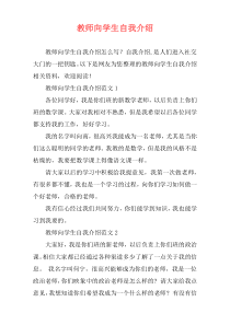 教师向学生自我介绍