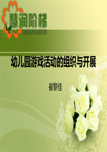 幼儿园游戏活动的组织与开展（PPT32页)