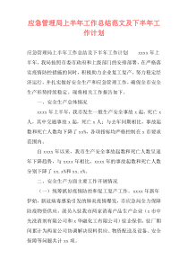 应急管理局上半年工作总结范文及下半年工作计划