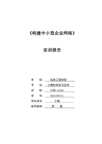 构建中小型企业网络实习报告