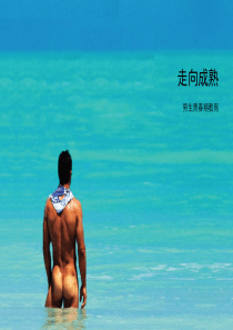 生理卫生教学课件【青春期男生性教育】走向成熟