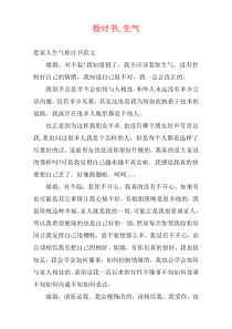 检讨书,生气
