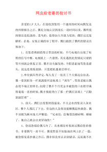 网虫给老婆的检讨书