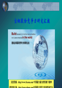 宝钢股份竞争力研究汇报