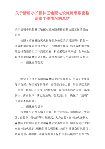 关于清明小长假林区输配电设施隐患排查整治组工作情况的总结