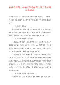 农业农村局上半年工作总结范文及工作安排报告范例