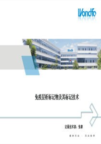 免疫层析标记物及其标记技术