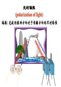 大学物理课件-光的偏振