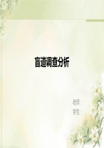 盲道PPT