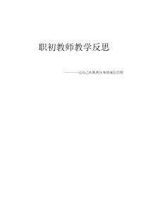 职初教师教学反思