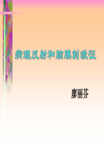 病理反射及脑膜刺激征(1)