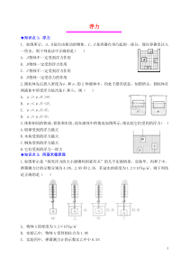 初中物理专题：浮力