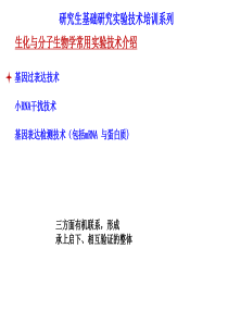 基因过表达-小RNA干扰-基因检测