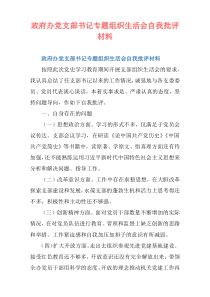 政府办党支部书记专题组织生活会自我批评材料