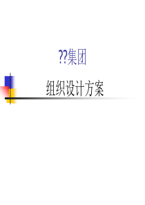 某集团组织设计方案
