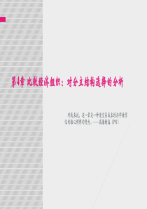 比较经济组织