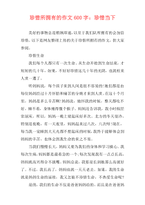 珍惜所拥有的作文600字：珍惜当下