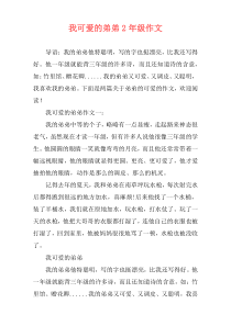 我可爱的弟弟2年级作文