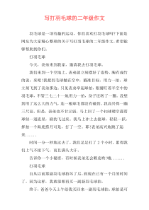 写打羽毛球的二年级作文