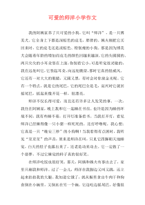 可爱的师洋小学作文